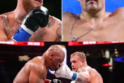 Jake Paul Strongly Declared That He Wants To “Fight” Oleksandr Usyk To Win The Heavyweight Championship After Defeating Legend Mike Tyson.