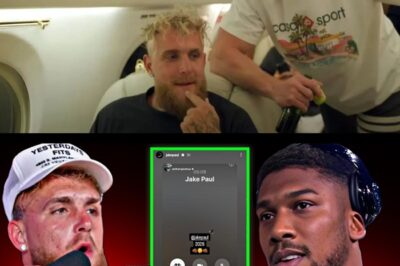 Logan Paul Questions Whether Jake Paul Is On Drugs After Anthony Joshua Callout