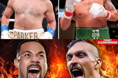 The Heavyweight Showdown: Usyk vs. Parker – A Fight for Legacy