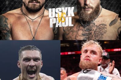 Oleksandr Usyk’s Team Challenges Jake Paul to MMA Showdown: It Would Be Interesting