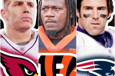 Every NFL Teams Best Free Agent Signing Of All-Time