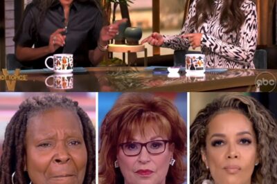 ABC Drops the Hammer on ‘The View’ Hosts—Network Issues Final Warning After Explosive Controversy!