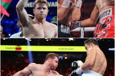 Canelo Shares His Thoughts On The David Benavidez Vs. David Morrell Fight, Clearing Up The Controversy And Revealing The Truth Behind The Claims Of An Unfair Result.