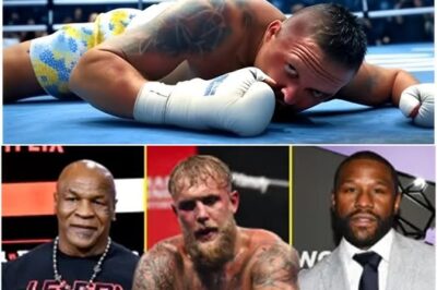 🛑 ”King Usyk has fallen!” Jai Opetaia Stuns the boxing world with dramatic knockout win over Oleksandr Usyk