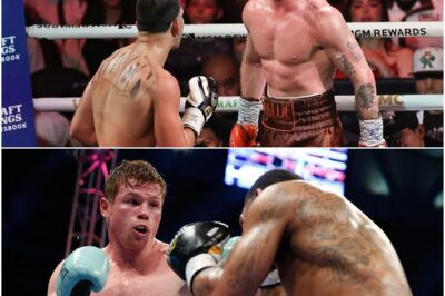 Canelo Alvarez Rates Floyd Mayweather As An Excellent Defensive Boxer Who Always Knows How To Use Technique And Tactics To Protect Himself In Every Match.