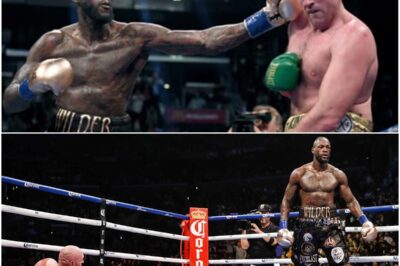“Kings Of Boxing: Deontay Wilder Vs. Tyson Fury – Who Comes Out On Top?”