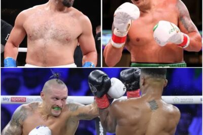 BREAKING: WBO Orders Oleksandr Usyk to Defend Heavyweight Title Against Joseph Parker