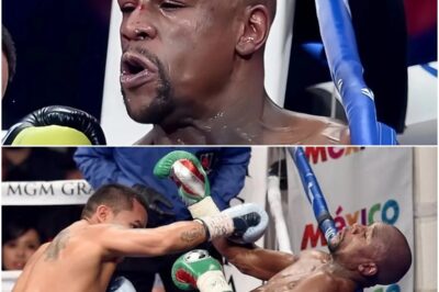 “Mayweather’s Unbeaten Streak Comes to a Shocking End with an Eighth-Round Knockout by John Gotti III, Causing Chaos and $135 Million in Losses”