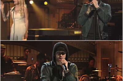 At this moment, Slim Shady as we knew him was gone! Eminem stepped onto the stage stripped of his signature bleached hair, his hip-hop outfits—all the iconic looks that had defined him for years were left behind. Instead, there stood a new Eminem, with a beard, dark hair, and a powerful presence, performing “Walk on Water,” “Stan,” and “Love the Way You Lie” alongside Skylar Grey.