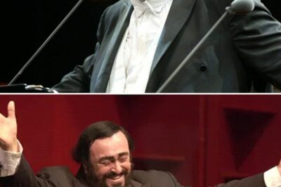 Luciano Pavarotti, an icon of 20th century opera, wowed millions of music lovers with his performance of “Ah! Mes Amis” from La Fille du Régiment. With his dazzling high notes and superb technique, Pavarotti not only rose to the challenge but also breathed life into each phrase, making the piece come alive and full of life. The joy and jubilation in his voice was especially evident, each note bringing a powerful wave of emotion. This performance was a testament to the perfect combination of exquisite technique and intense emotion, affirming Pavarotti’s position in the hearts of classical music fans.