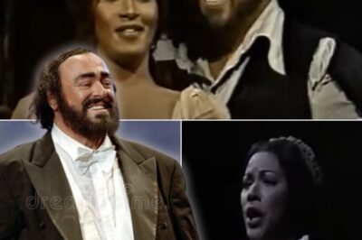 In the 1981 performance of Rigoletto, Luciano Pavarotti, Isola Jones, Christiane Eda-Pierre and Louis Quilico created an unforgettable opera performance, especially in the famous quartet scene at the Metropolitan Opera. Under the exquisite direction of James Levine, the voices of Pavarotti and his colleagues blended perfectly, creating an emotional and dramatic musical experience. Pavarotti, with his superb tenor voice, highlighted his character of Duke, joining Isola Jones, Christiane Eda-Pierre and Louis Quilico in dialogues full of tension and emotion. The Metropolitan Orchestra under Levine’s leadership brought harmony between music and voice, creating a captivating musical space, touching the hearts of the audience and bringing a perfect night of opera.