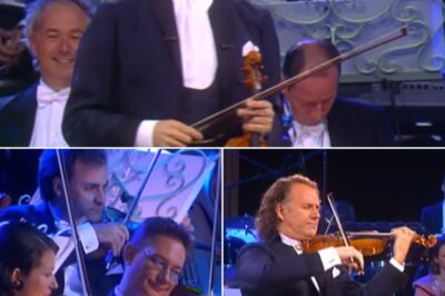 André Rieu embarks on a magical musical journey with “Nightingale Serenade”. The work opens with gentle melodies, echoing the sounds of nature, such as the chirping of sparrows blending with the quiet space. The subtle combination of fast, powerful musical passages and slow, lyrical melodies creates a wonderful yet extremely harmonious contrast, clearly reflecting the message of love and hope. With skillful technique and deep emotion, Rieu has affirmed his talent, bringing a work that is both familiar and new, easily touching the hearts of listeners. “Nightingale Serenade” is not just a concerto but a musical story, a sweet confession to the world around, a testament to the creativity and appeal of classical music in today’s era.