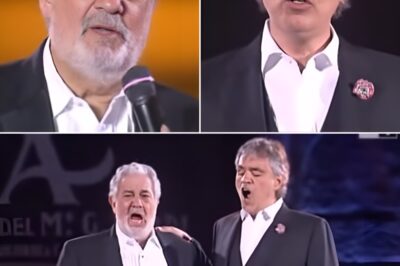 Two great voices of the world opera – Andrea Bocelli and Plácido Domingo – brought a haunting and emotional “Non Ti Scordar Di Me”. This famous love song, composed by Ernesto de Curtis, is recreated through the perfect combination of Bocelli’s smooth, emotional tenor voice and Domingo’s warm, powerful baritone voice. Every note is like a vow of love, every line is like an unforgettable, lingering nostalgia. The video is not only a great musical performance, but also a journey into the depths of emotion, where love and separation blend together, leaving the listener deeply moved. This is an artistic moment that will forever remain in the hearts of music lovers.