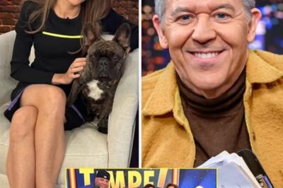 Who is ready for some exciting news!? Fox News’ Kat Timpf confirms when she’s coming back to TV after new baby & surgery — right after Greg Gutfeld announces a brand new show! ‘CAN’T MISS THIS!’