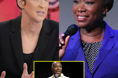 ‘Social Justice Warrior’: Rachel Maddow Attacks MSNBC Over Joy Reid Firing…and Labeling Executives ‘Assholes’ — What Really Happened?