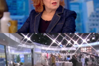 The View’s Joy Behar addresses rumors she’s RETIRING after host, 79, suffered scary fall on air