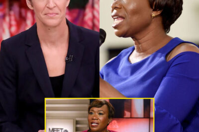 Rachel Maddow STUNS MSNBC LIVE: Drops Explosive Receipts Blaming Network Executives for Crashing Ratings—Staff Left Speechless as Truth Unravels On-Air!