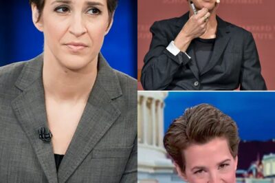 The Truth Revealed: Rachel Maddow’s Groundbreaking Revelations—Are MSNBC Executives the Hidden Architects Behind the Network’s Crisis? Prepare to Be Shocked!
