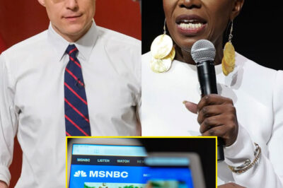 How Steve Kornacki’s departure and Joy Reid’s firing sparked major change at MSNBC amid executive lineup changes and channel divisions