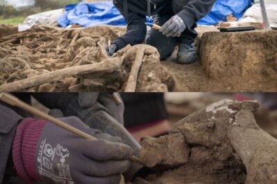 What secrets are hidden beneath the football field where more than 120 Roman warriors were discovered, making fans cry?