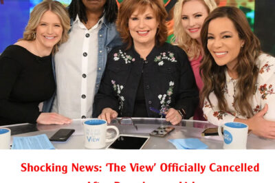 Shocking News: ‘The View’ Officially Cancelled After Decades on Air!