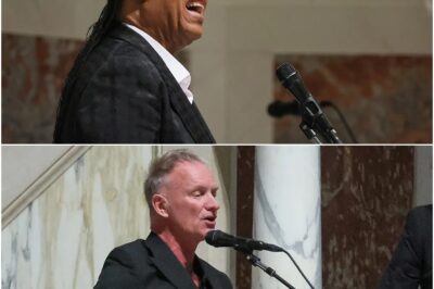 Stevie Wonder And Sting, Guitar In Hand, Made A Surprise Appearance At The Cathedral Of St. Matthew The Apostle In Washington, DC, Delivering A Heartfelt Rendition Of Sting’s 1987 Hit Fragile That Moved The Entire Audience To Tears—Even Three U.S. Presidents Couldn’t Hold Back Their Emotions
