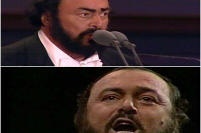 The Three Tenors—José Carreras, Plácido Domingo, and Luciano Pavarotti—reunited for a spectacular performance in Paris, with the Eiffel Tower as a backdrop. Accompanied by the Orchestre de Paris and conductor James Levine, they performed before an audience 100 times larger than their Rome concert, with a television audience of nearly two billion viewers. This event became a historic musical moment, showcasing their unparalleled vocal talent in a breathtaking setting.