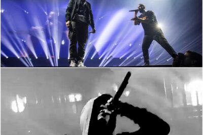 Even Drake is under the curse of “If you bring Eminem to your concert, it’s no longer your concert.”