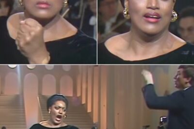 Jessye Norman Is Sensual and Alluring in “Mon cœur s’ouvre à ta voix” from Samson and Delilah (1987). Accompanied by the Orchestre National de France under Michael Schonwandt, Norman displays a flair for the role of Delilah, a woman of cunning and seduction. Norman’s powerful emotions and masterful technique transport the listener into a mesmerizing musical space where love, attraction and desire come together, creating an unforgettable moment in classical music.