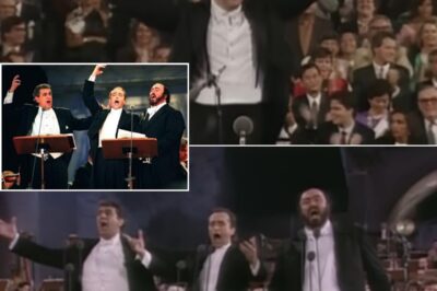 “Nessun Dorma” – The Three Tenors’ Epic Performance And Pavarotti’s Emotional Outburst During a concert in Rome in 1990, the world fell silent before the perfect combination of three legendary voices. Pavarotti, with his powerful and emotional voice, turned the climax of “Vincerò” into an unforgettable moment, making the hearts of the listeners vibrate intensely. This performance is not only the pinnacle of opera art but also a testament to the timeless power of classical music, reaching even the most demanding audiences.