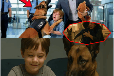 The Unbelievable Truth: Elite Airport Security Dog Breaks All Protocols, Unravels International Child Kidnapping Ring – How a Silent Bark Exposed a Network of Corrupt Officials, Fake Fathers and Stolen Children, Turning a Forgotten Little Boy into the Center of the World’s Most Shocking Scandal