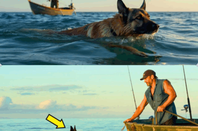 Man Rescues Drowning German Shepherd 135 Miles from Land, Uncovering a Secret Military Program and a Heart-Stopping Betrayal That Will Leave You in Tears and Wonder