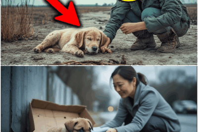 A Weak Puppy Left To Die Is Adopted By A Kind Woman And Becomes A Hero Police Dog, And Then…