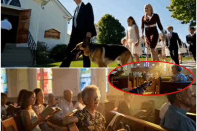 Retired K9 German Shepherd Stuns Entire Church by Barking During Sunday Service—Her Unexpected Discovery Beneath the Altar Leads to the Miraculous Rescue of a Missing Girl Thought Gone Forever, Leaving Worshippers in Tears and Police Hailing Her as a True Four-Legged Miracle Worker!