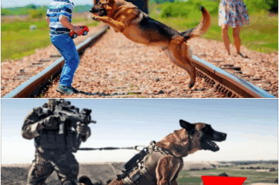 A heroic K9 dog leaps into action, pulling a boy from certain death on the train tracks—earning cheers from shaken onlookers. But as the rescue scene unfolds, the dog stumbles upon a buried clue nearby. What he uncovers doesn’t just save a life; it cracks open a 15-year-old missing persons case, shocking detectives and families alike.