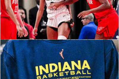Indiana Fever Release Official Statement In Response To WNBA’s Investigation Into Incident Involving Angel Reese