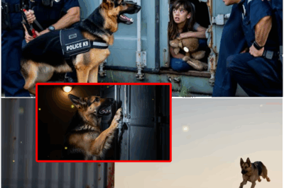 Dogged Determination: German Shepherd K9 ‘Diesel’ Stormed Into the Forbidden Zone, Ignoring His Handler and Protocol—A Move That Unraveled a Twisted Network of Children Held Captive in Shipping Containers That Police Never Suspected and Led to a Stunning Takedown of a Cunning Criminal Mastermind!