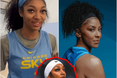 Angel Reese Took A Direct Shot At Caitlin Clark Over Social Media Before WNBA Meeting.