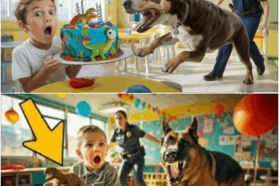Unbelievable Discovery: K9 Dog Detects Deadly Gun Stashed in Birthday Cake — The Chilling Truth About What Was Planned That Day Will Leave You Speechless, as Heroic Pup’s Actions Prevent Disaster and Prompt a Nationwide Outpouring of Gratitude and Relief!