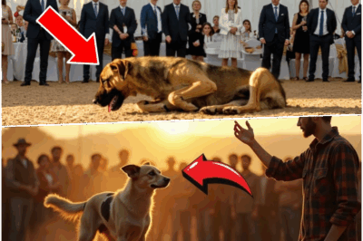 Crowd Gasps As Young Man Takes Home Desperate, Unwanted Dog From Auction—But Moments Later, His Unbelievable Act Sparks Global Outrage, Astonishing News Crews, and Inspiring a Worldwide Movement that Will Change the Fate of Abandoned Animals Forever!