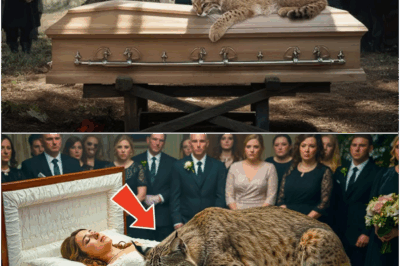 Unbelievable Mourning: Loyal Bobcat Refuses to Leave Woman’s Coffin for Days—Doctor’s Shocking Discovery Reveals a Hidden Bond So Powerful and Heartbreaking, Locals Now Call This the Most Touching Tale of Animal Devotion and Grief Ever Witnessed in Human History!