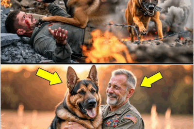 Retired K9 dog risks his life sprinting across open battlefield under heavy enemy fire to reach his gravely injured handler, refusing to abandon his human partner and pulling off a miraculous rescue—soldiers and civilians alike hail this unstoppable canine for extraordinary bravery that will inspire generations.