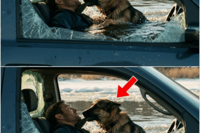 Rescuers find a trembling German Shepherd refusing to abandon a frozen truck, his paws locked on the icy door handle. When they finally manage to coax him away, the heartbreaking truth is revealed—someone precious remains trapped inside, and the dog’s unbreakable bond might be the only hope for survival.