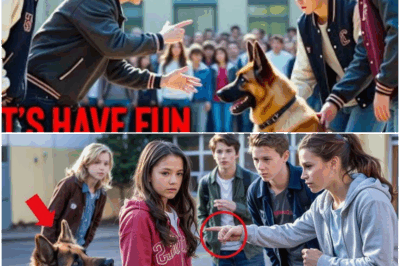 Some local bullies couldn’t resist taunting an unassuming dog on the street, until the animal’s K9 instincts kicked in. To their shock, the “helpless” pup outmaneuvered them with lightning reflexes, revealing his true past as a police partner and leaving the bullies scrambling—while bystanders cheered the unexpected hero.