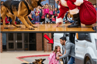K9 Hero Dog Unmasks Fraudulent School Santa—Discovery of Stolen Student Identities Launches Nationwide FBI Manhunt, Teachers and Parents Left Stunned as Shocking Truth Raises Fears of Massive Holiday Security Breach That Could Impact Every Family This Christmas Season!