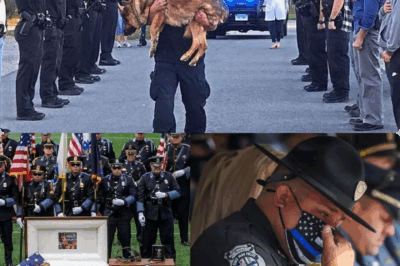 Fallen but Never Forgotten: Inside the Stunning Rituals of Police Dog Funerals That Turn Streets into Rivers of Grief and Pride—Witness the Massive Processions, Officer Tributes, and Emotional Goodbyes Behind Every K9 Hero’s Final Journey!