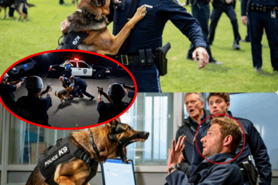 Terrifying betrayal or heroic act? Top cop attacked by his loyal dog during routine training! As panic engulfed the station, whispers of hidden agendas, coded signals, and spine-chilling corruption surfaced. Did Max sense an unspeakable evil, or is this the beginning of a conspiracy that could shake the police force to its core?