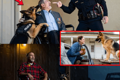 Family Torn Apart: Police Officer Beats Disabled War Hero Father—But Watch as the Dog No One Expected Dares to Uncover Shocking Corruption, Hidden Money, and a Sibling on the Run