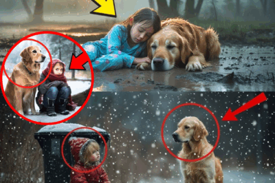 Just Minutes from Ending the Search, a Dying Signal from a Dog’s Collar Leads Rescuers to a Miracle: How an Old Retriever’s Loyalty Outshone All Technology, Defied the Storm, and Changed a Grieving Family—and Entire Town—Forever in a Tale You’ll Never Forget!