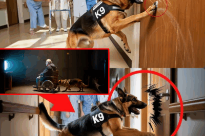 Retired K9 Dog Single-Handedly Uncovers Chilling Decade-Old Nursing Home Secret Room, Leading to Shocking Discovery of a Forgotten Human Experiment Survivor and Exposing a Government Cover-Up That Has Haunted an Entire Community—What Unfolded Left Everyone Questioning Who Can Be Trusted in Elder Care.